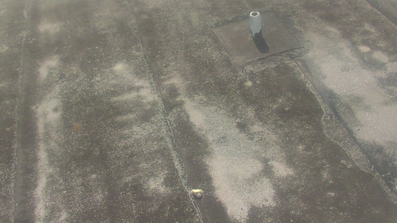 Thumbnail for current weather camera view from Fox Trail ES in Davie, Florida