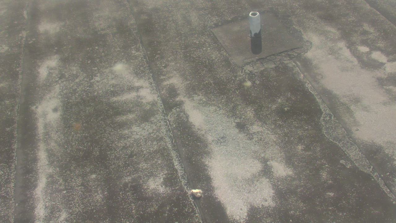 Thumbnail for current weather camera view from Fox Trail ES in Davie, Florida