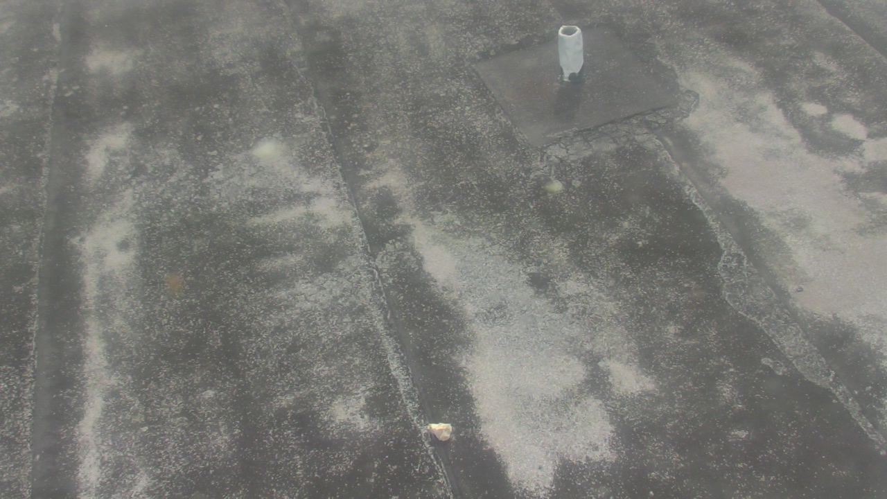 Thumbnail for current weather camera view from Fox Trail ES in Davie, Florida