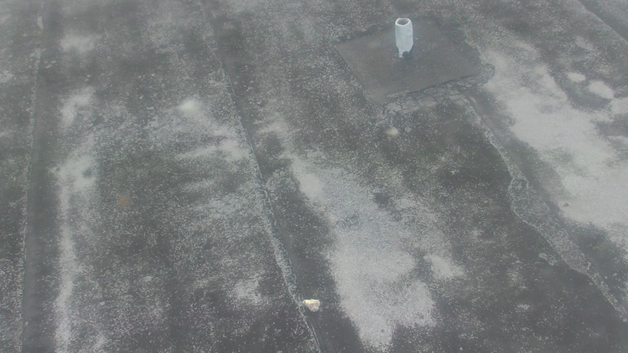 Thumbnail for current weather camera view from Fox Trail ES in Davie, Florida