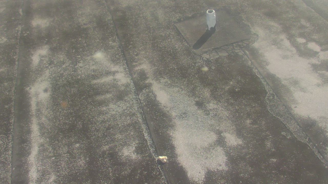 Thumbnail for current weather camera view from Fox Trail ES in Davie, Florida