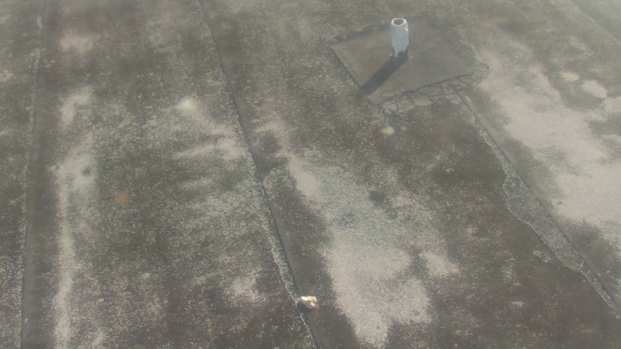 Thumbnail for current weather camera view from Fox Trail ES in Davie, Florida