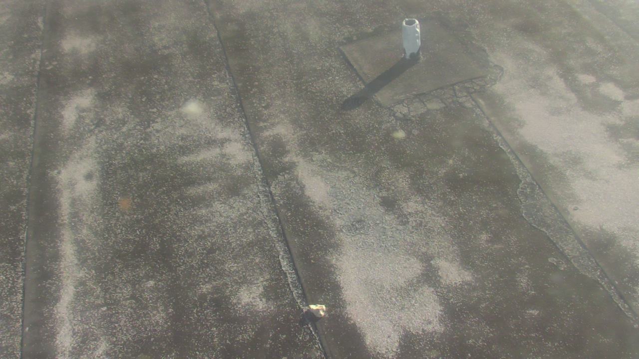 Thumbnail for current weather camera view from Fox Trail ES in Davie, Florida