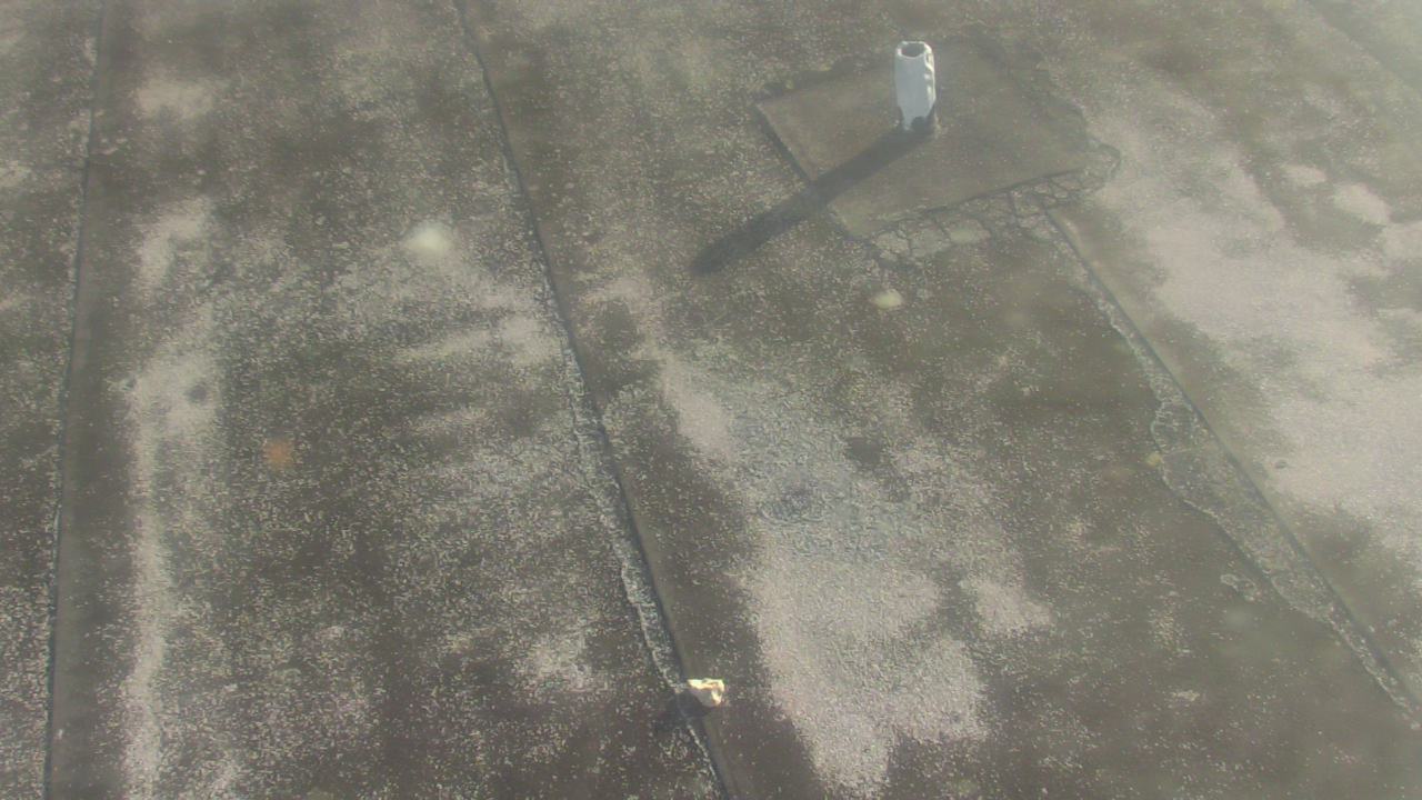 Thumbnail for current weather camera view from Fox Trail ES in Davie, Florida