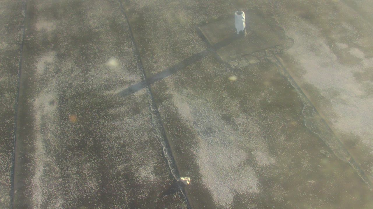 Thumbnail for current weather camera view from Fox Trail ES in Davie, Florida