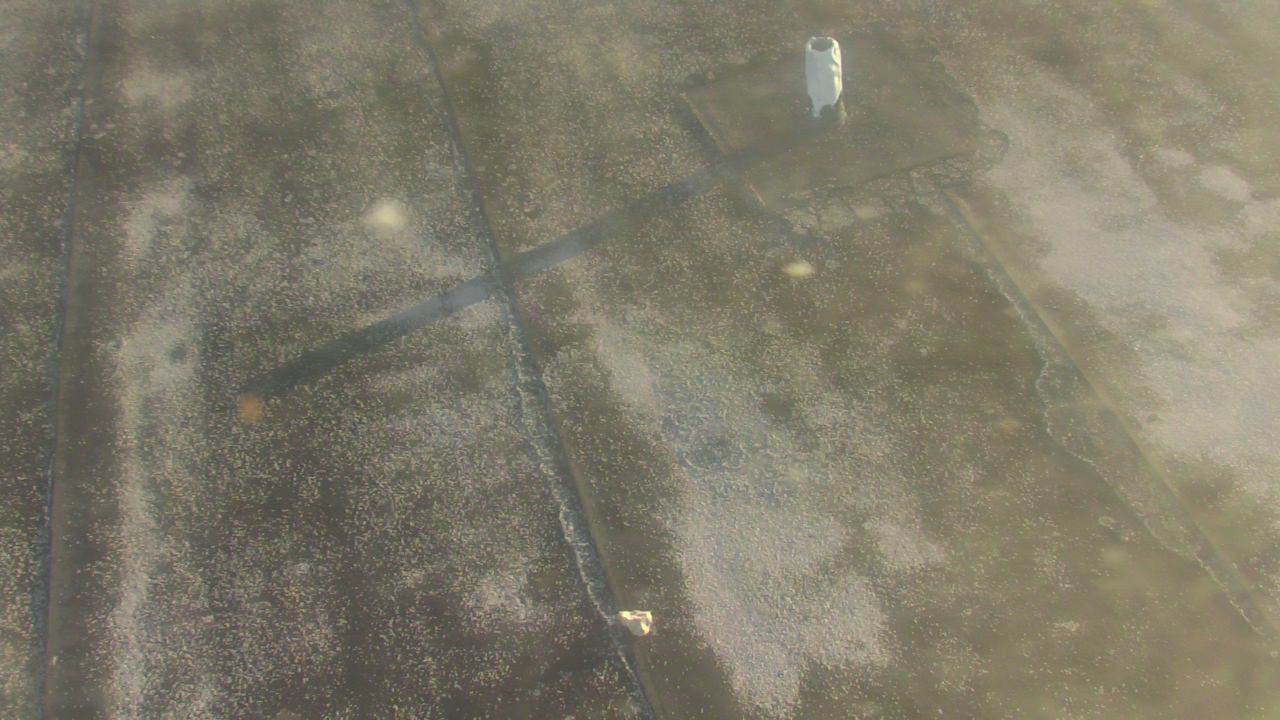 Thumbnail for current weather camera view from Fox Trail ES in Davie, Florida