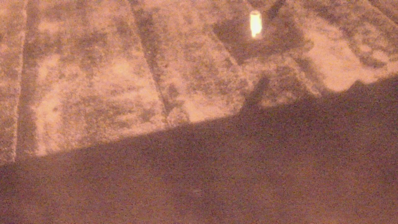 Thumbnail for current weather camera view from Fox Trail ES in Davie, Florida