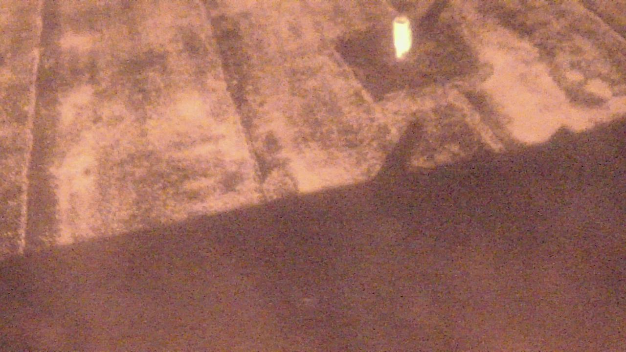 Thumbnail for current weather camera view from Fox Trail ES in Davie, Florida