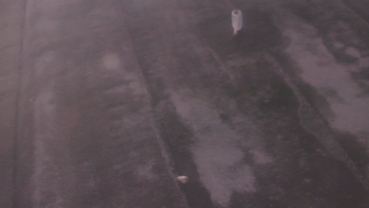 Thumbnail for current weather camera view from Fox Trail ES in Davie, Florida