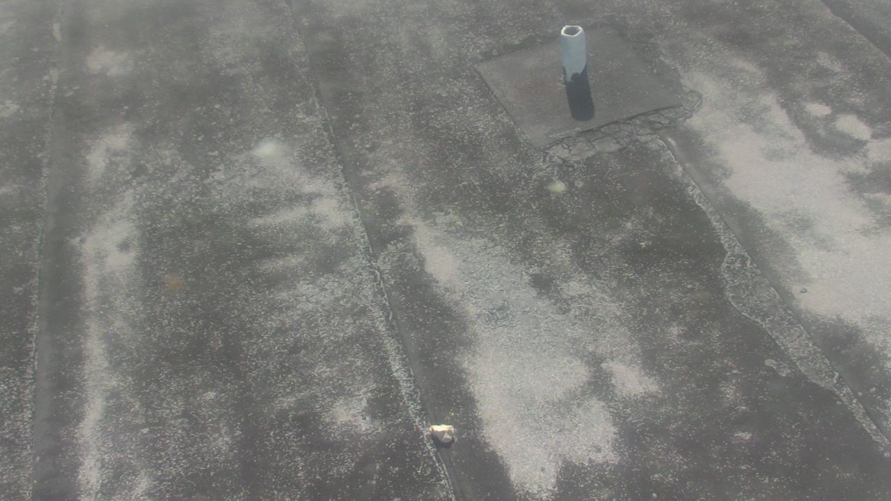 Thumbnail for current weather camera view from Fox Trail ES in Davie, Florida