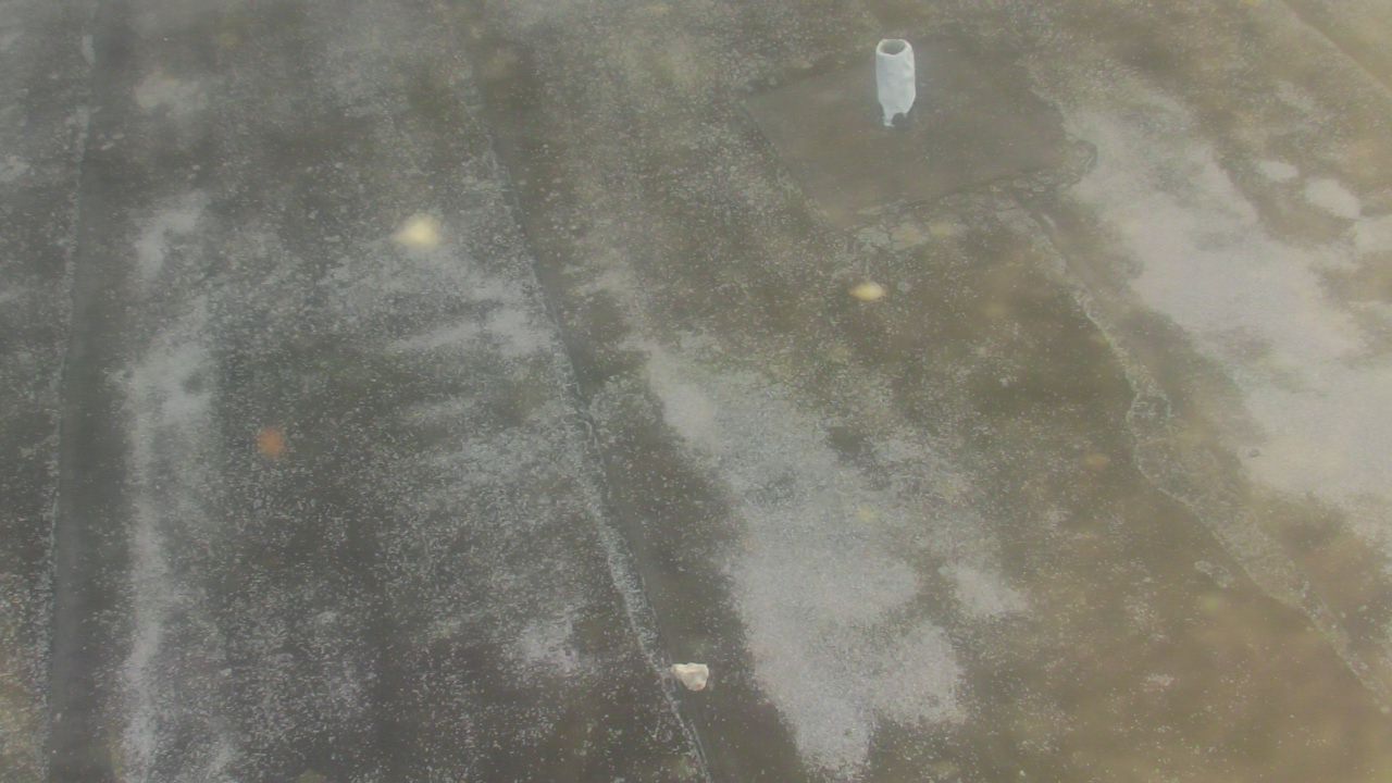 Thumbnail for current weather camera view from Fox Trail ES in Davie, Florida