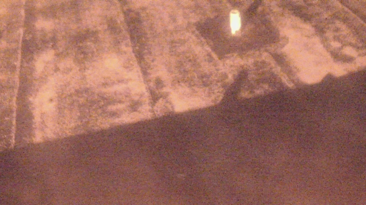 Thumbnail for current weather camera view from Fox Trail ES in Davie, Florida