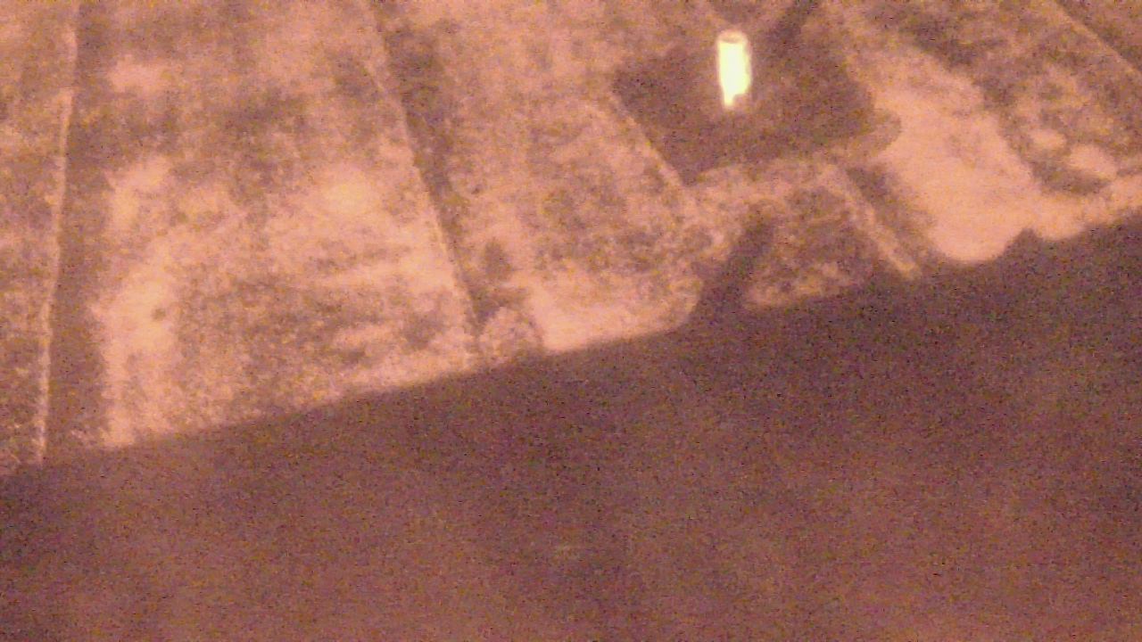 Thumbnail for current weather camera view from Fox Trail ES in Davie, Florida