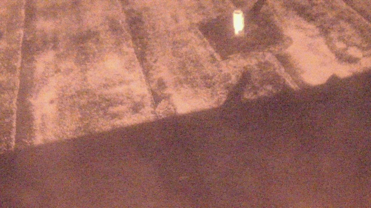 Thumbnail for current weather camera view from Fox Trail ES in Davie, Florida