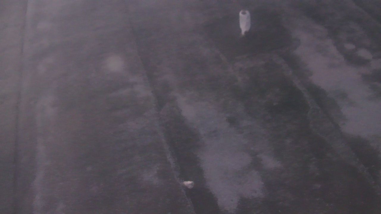 Thumbnail for current weather camera view from Fox Trail ES in Davie, Florida