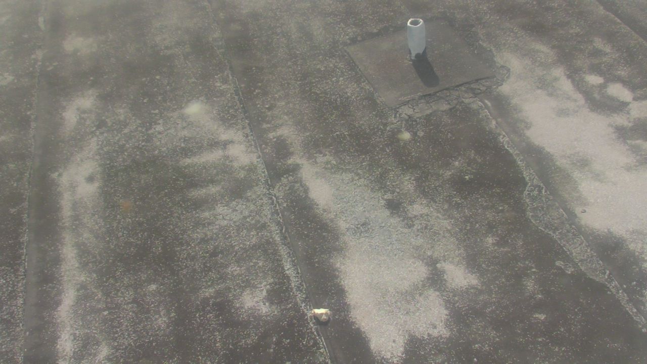 Thumbnail for current weather camera view from Fox Trail ES in Davie, Florida