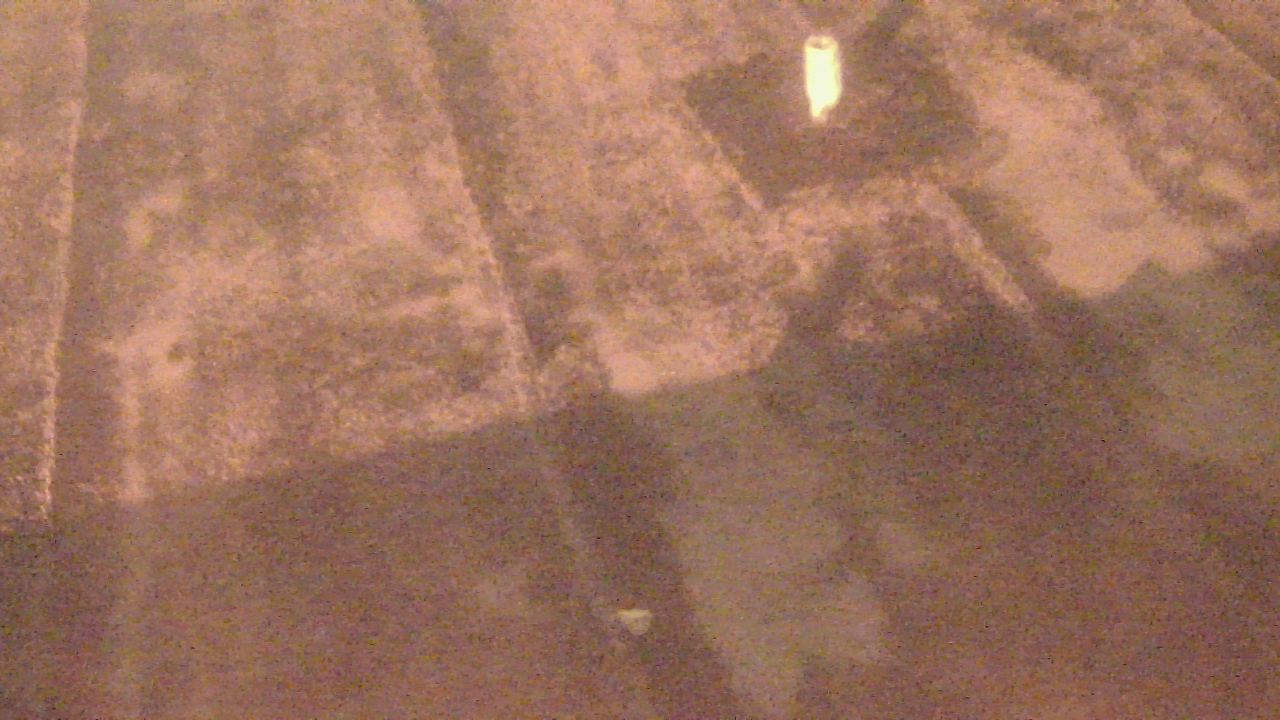 Thumbnail for current weather camera view from Fox Trail ES in Davie, Florida