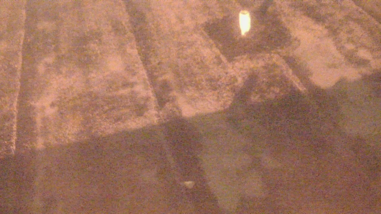 Thumbnail for current weather camera view from Fox Trail ES in Davie, Florida