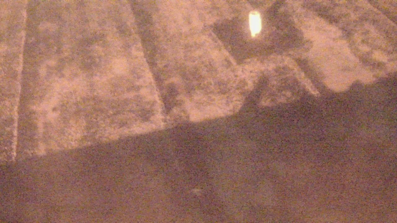 Thumbnail for current weather camera view from Fox Trail ES in Davie, Florida