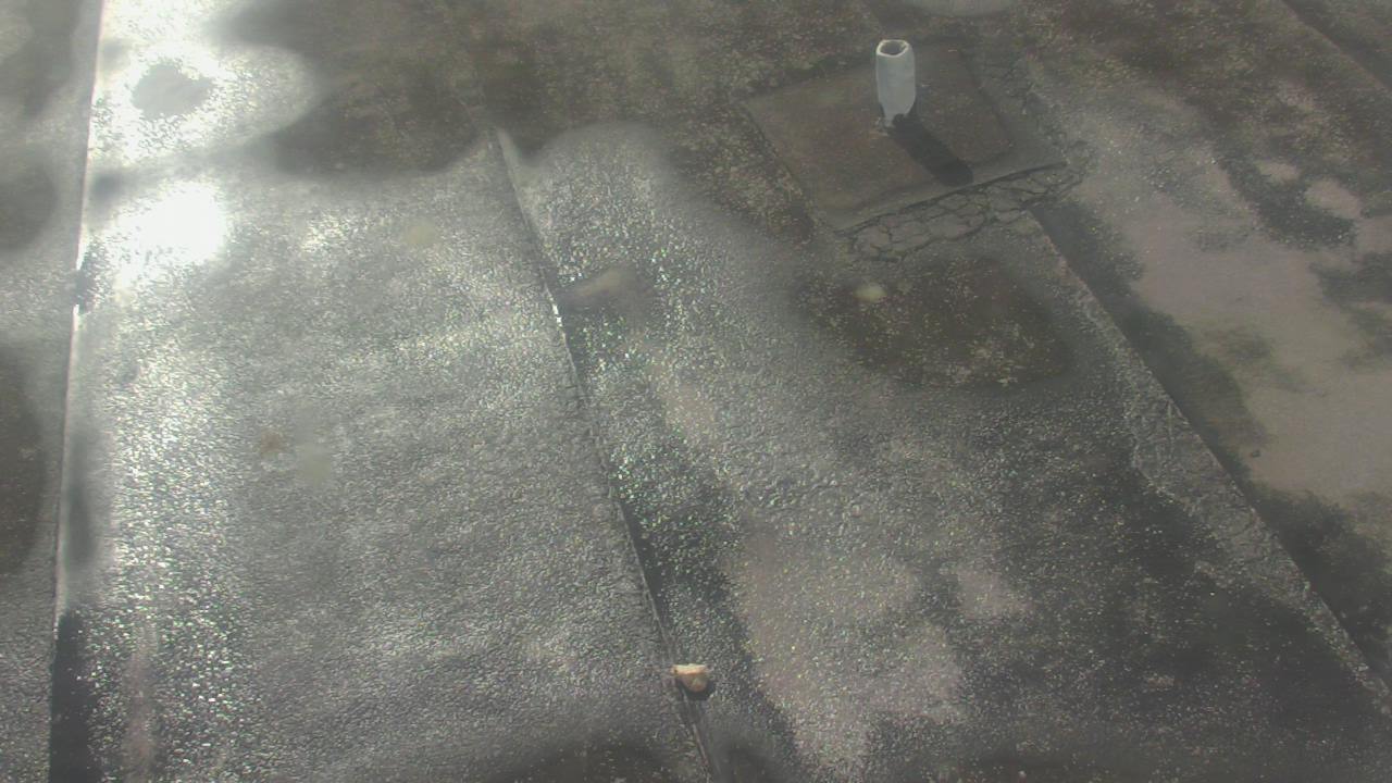 Thumbnail for current weather camera view from Fox Trail ES in Davie, Florida