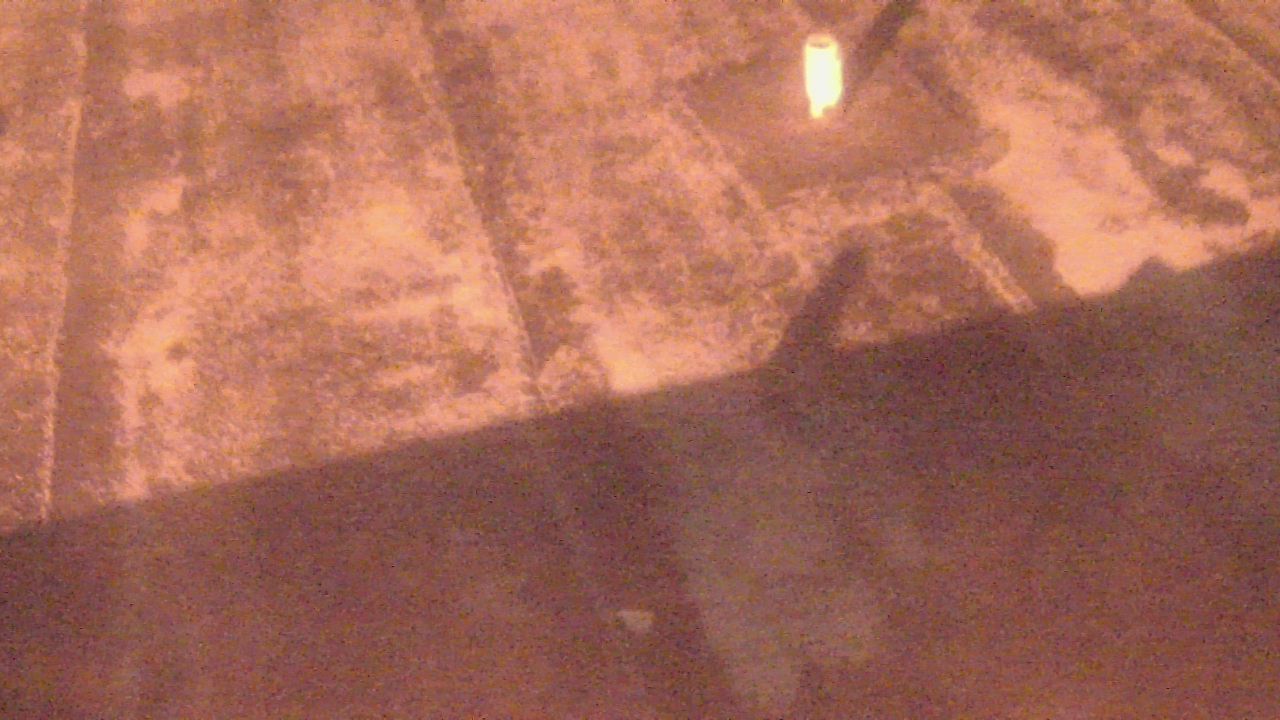 Thumbnail for current weather camera view from Fox Trail ES in Davie, Florida