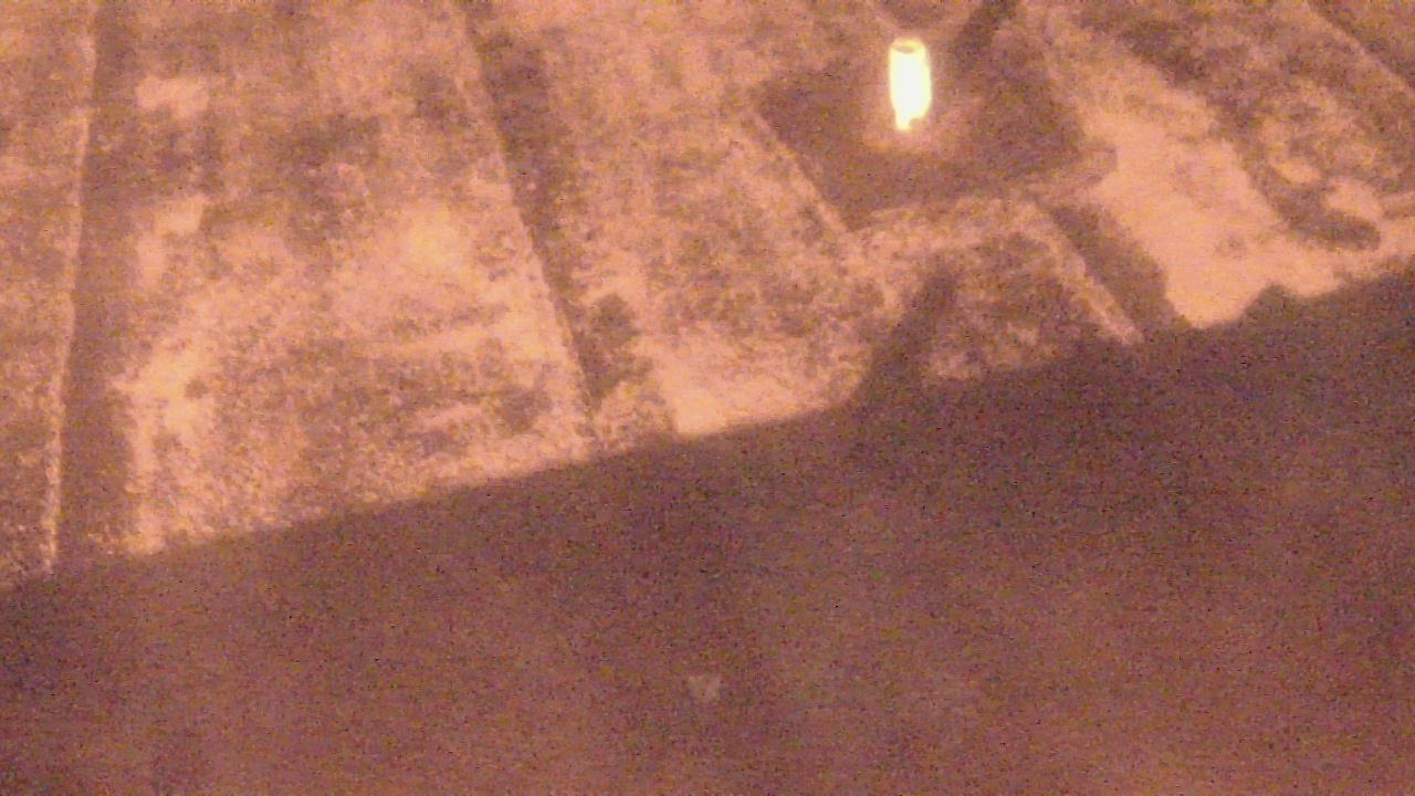 Thumbnail for current weather camera view from Fox Trail ES in Davie, Florida