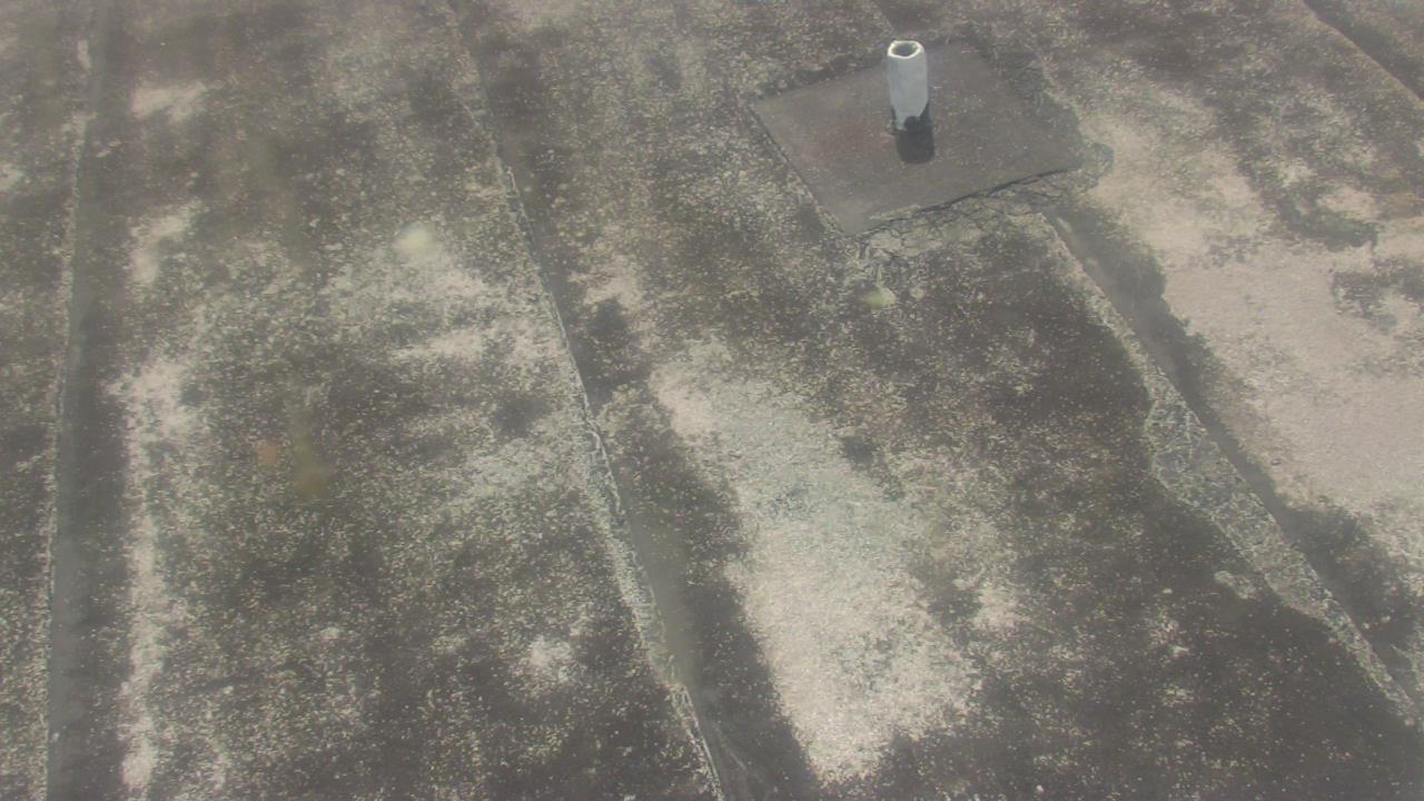 Thumbnail for current weather camera view from Fox Trail ES in Davie, Florida