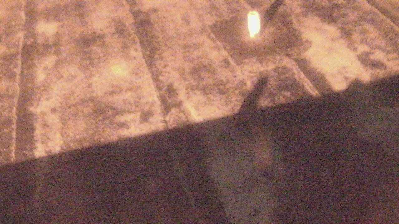 Thumbnail for current weather camera view from Fox Trail ES in Davie, Florida