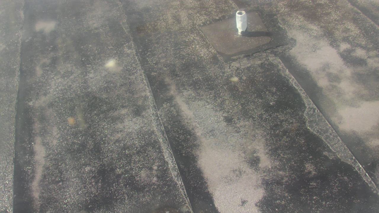 Thumbnail for current weather camera view from Fox Trail ES in Davie, Florida