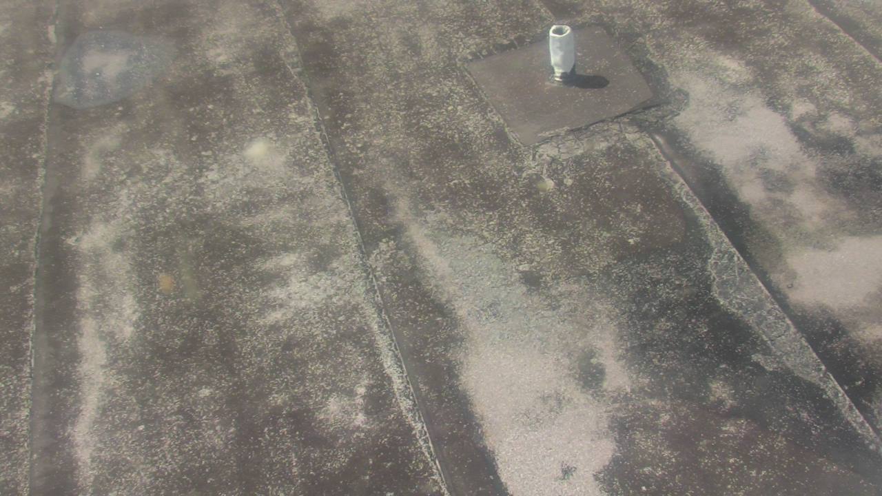 Thumbnail for current weather camera view from Fox Trail ES in Davie, Florida