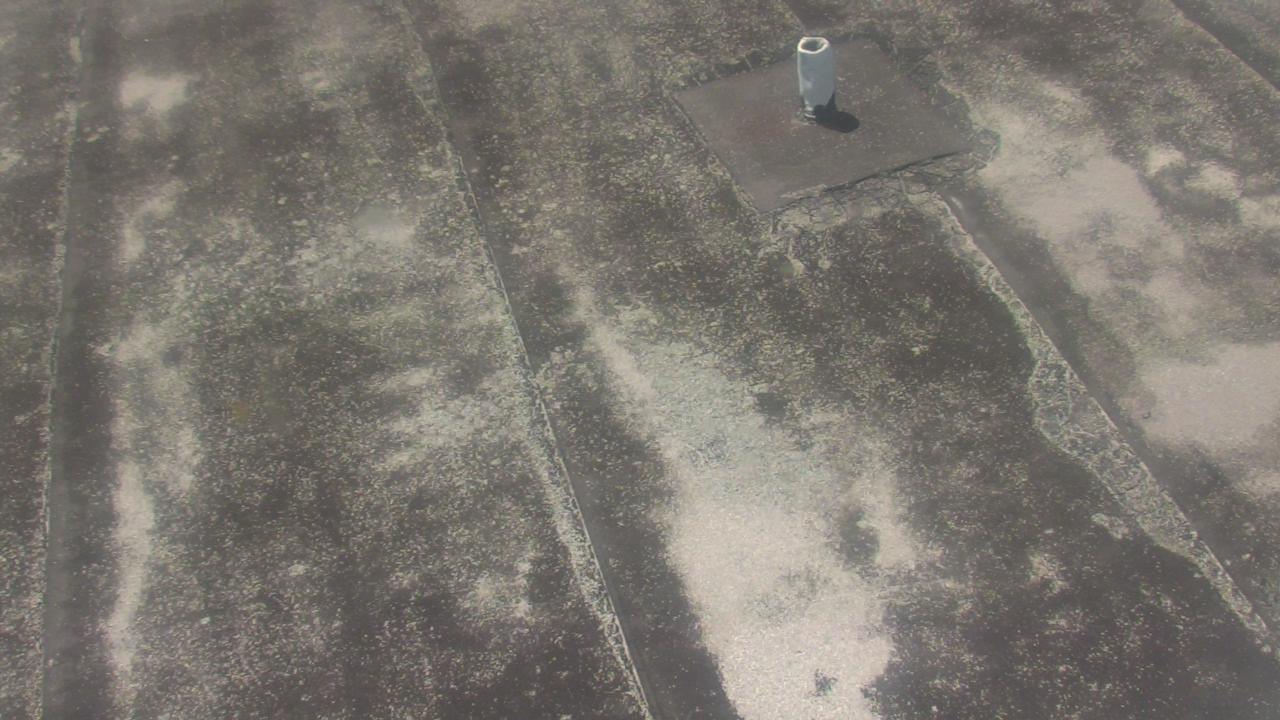 Thumbnail for current weather camera view from Fox Trail ES in Davie, Florida