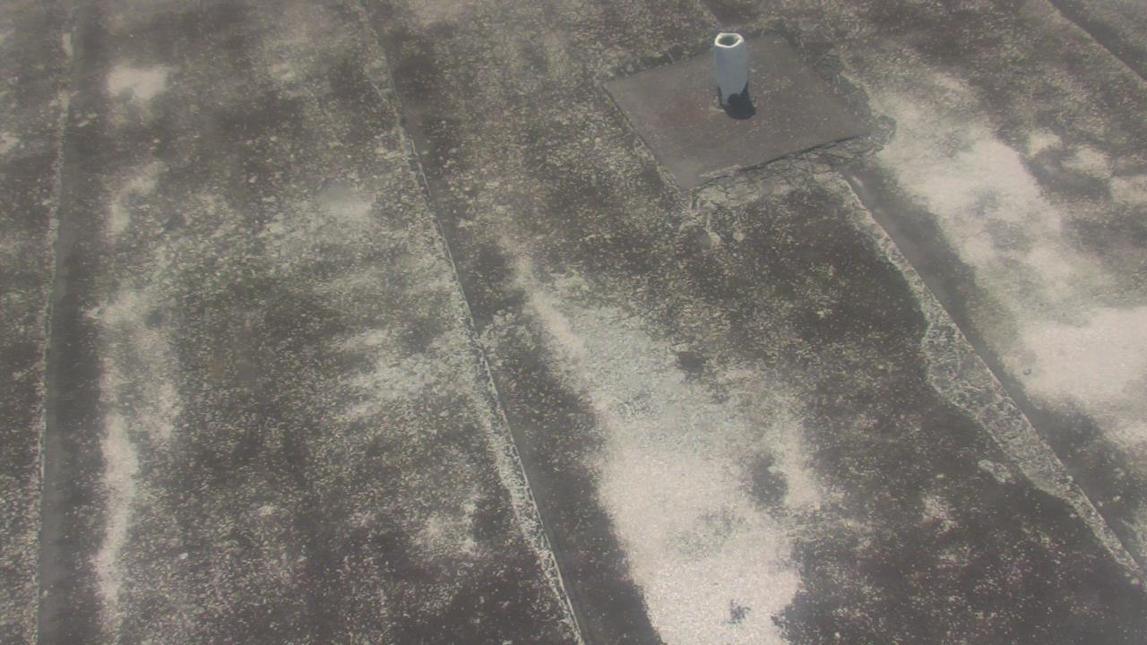 Thumbnail for current weather camera view from Fox Trail ES in Davie, Florida