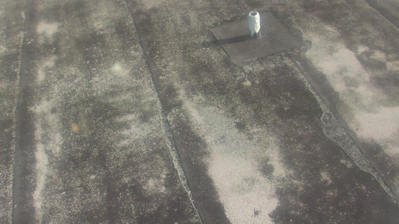 Thumbnail for current weather camera view from Fox Trail ES in Davie, Florida