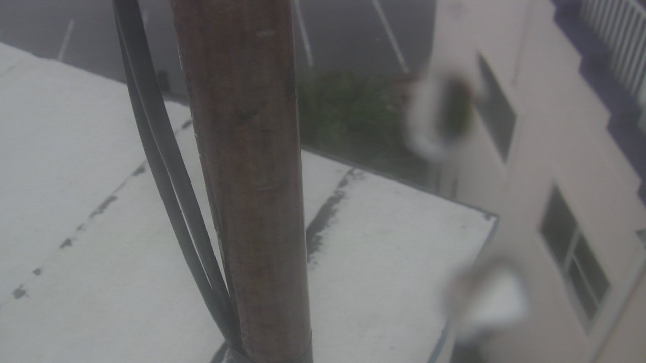 Thumbnail for current weather camera view from The Gulfarium in Fort Walton Beach, Florida