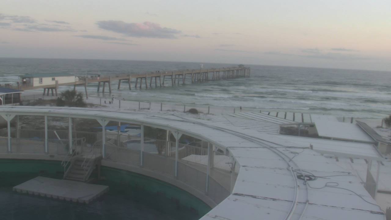 Thumbnail for current weather camera view from The Gulfarium in Fort Walton Beach, Florida