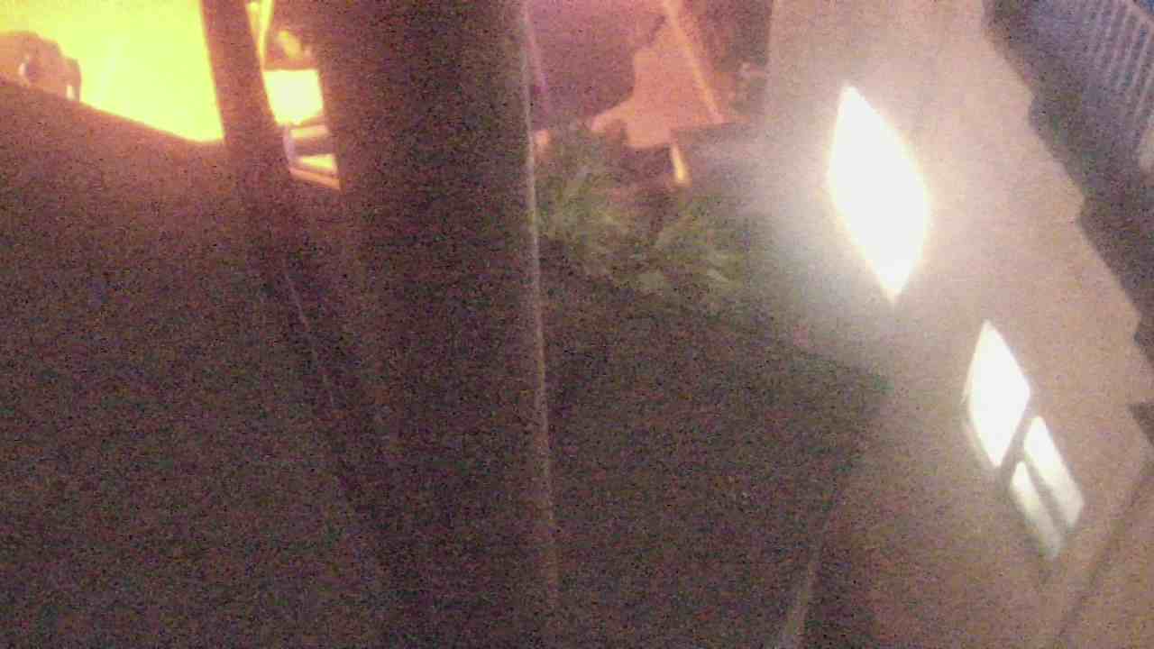 Thumbnail for current weather camera view from The Gulfarium in Fort Walton Beach, Florida