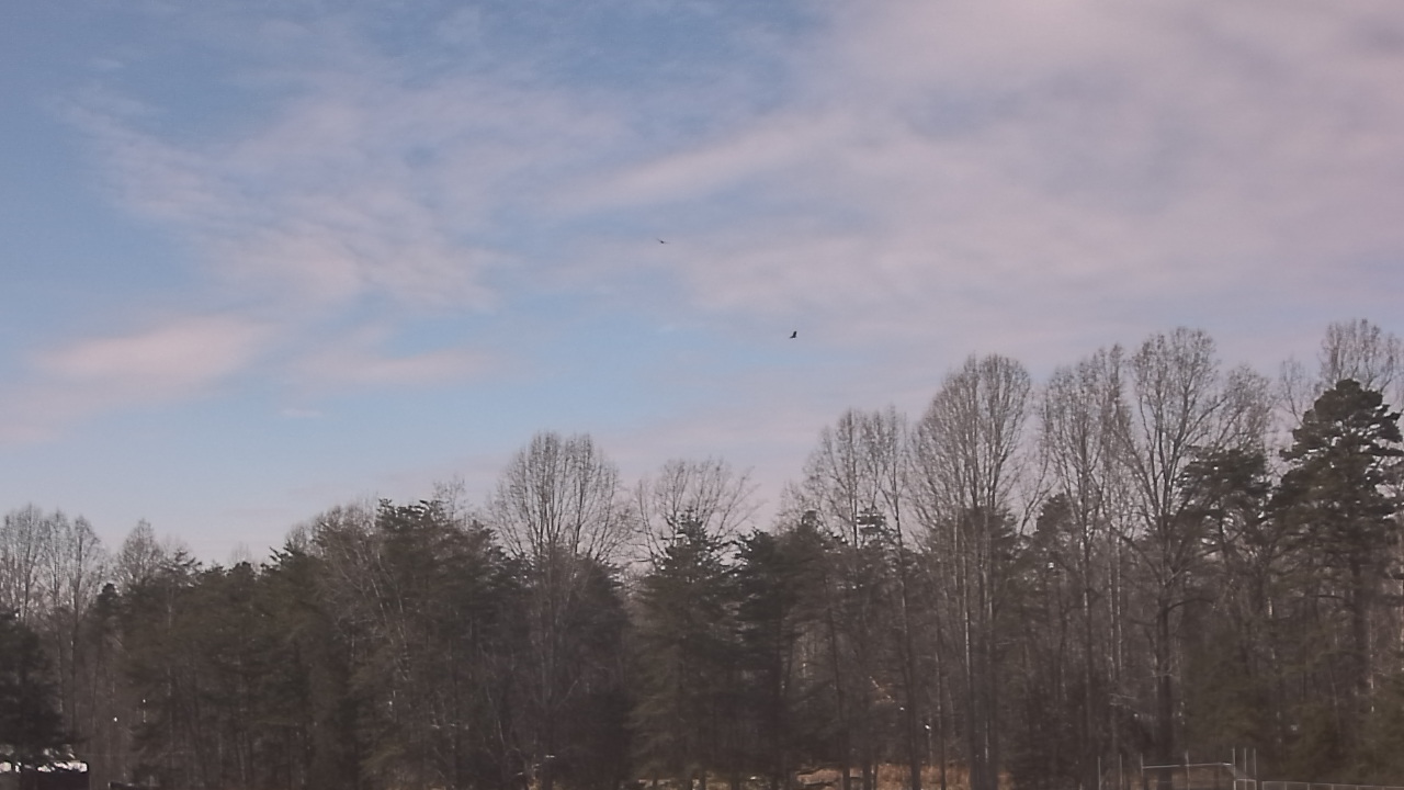 Thumbnail for current weather camera view from Byrd ES in Goochland, Virginia