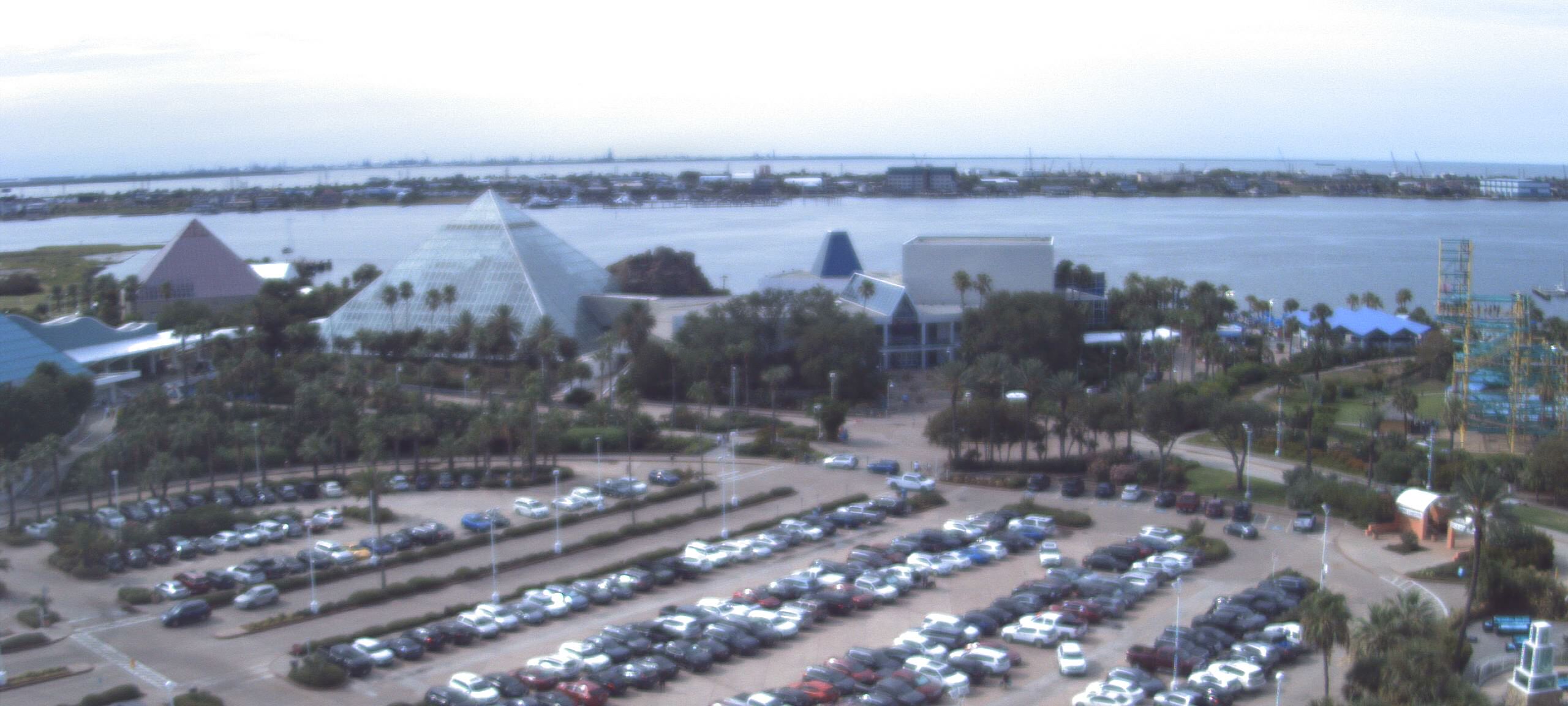 Thumbnail for current weather camera view from Moody Gardens Inc. in Galveston, Texas