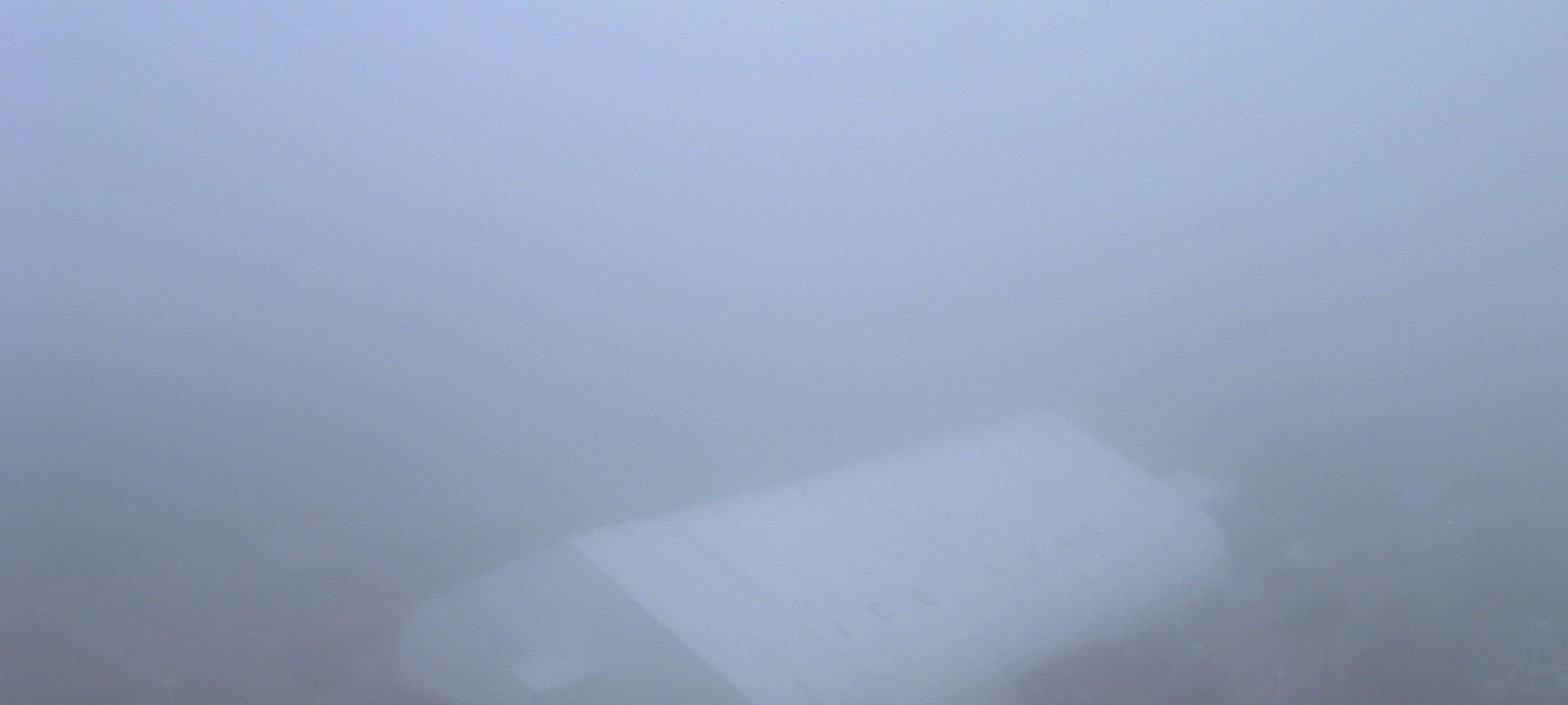 Thumbnail for current weather camera view from Moody Gardens Inc. in Galveston, Texas