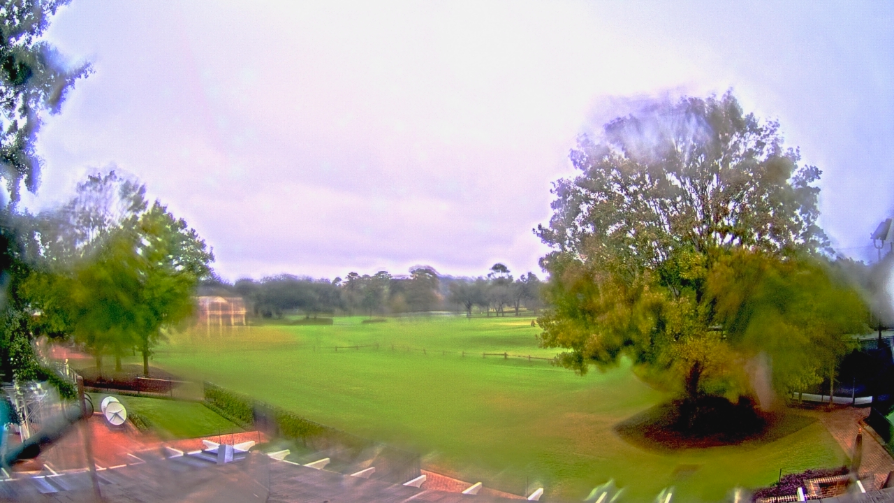 Thumbnail for current weather camera view from Houston Country Club in Houston, Texas