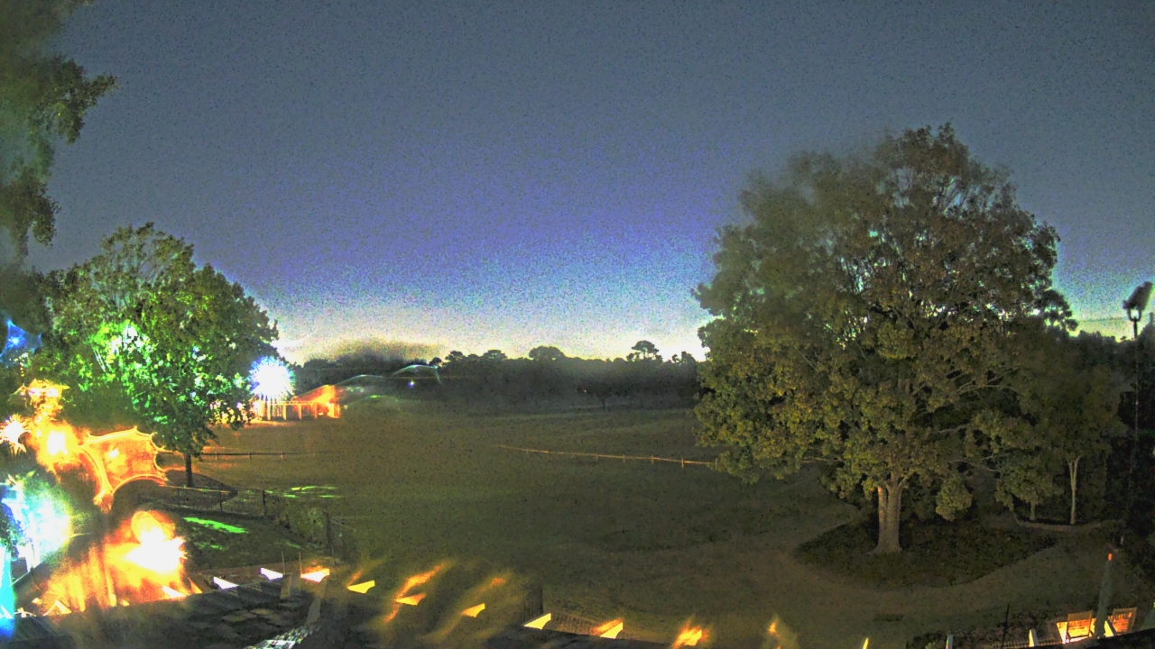 Thumbnail for current weather camera view from Houston Country Club in Houston, Texas