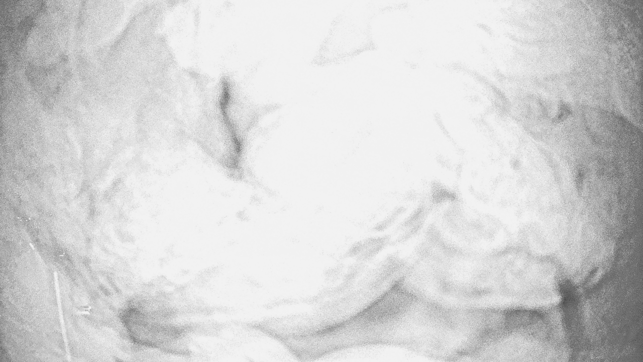 Thumbnail for current weather camera view from Houston Country Club in Houston, Texas