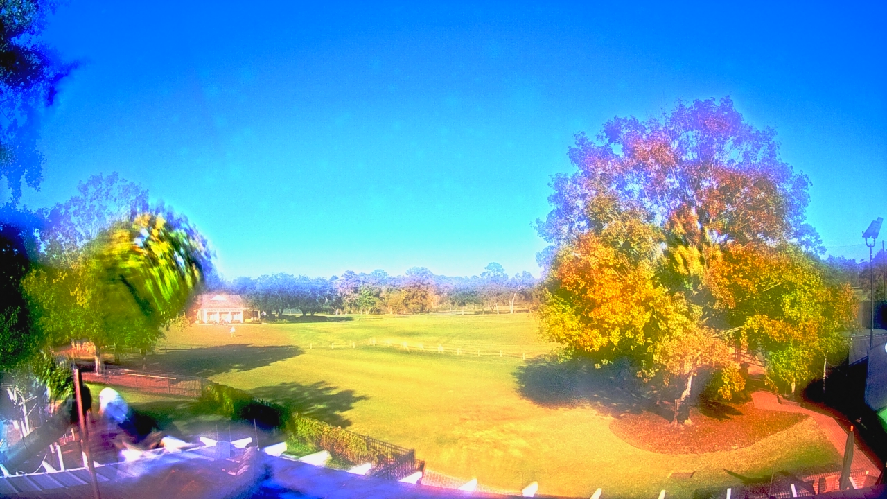 Thumbnail for current weather camera view from Houston Country Club in Houston, Texas