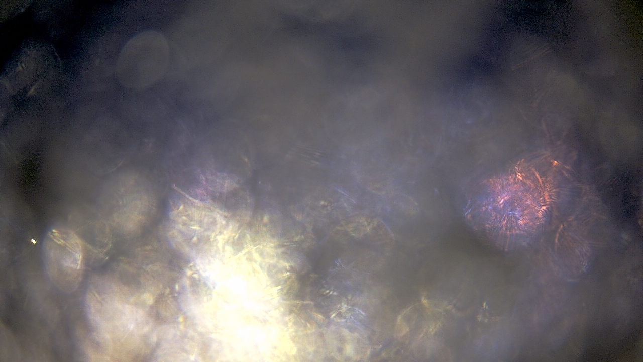 Thumbnail for current weather camera view from Hopewell Emergency Management in Hopewell City, Virginia