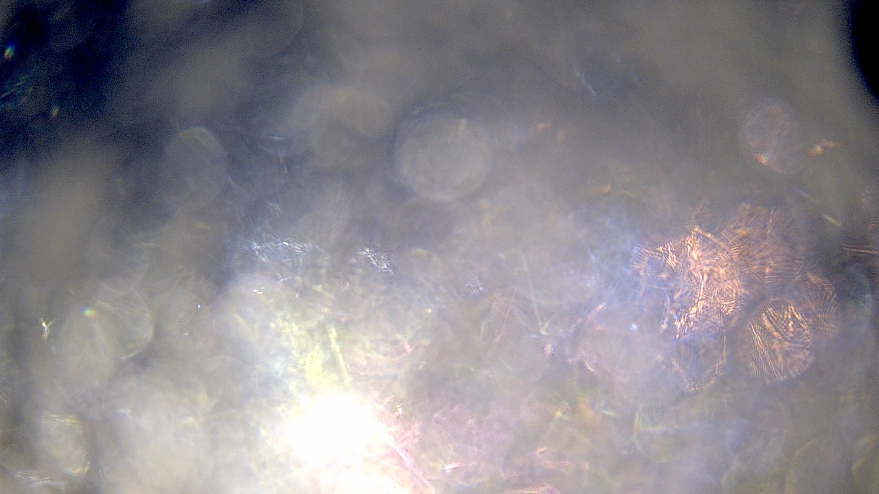 Thumbnail for current weather camera view from Hopewell Emergency Management in Hopewell City, Virginia