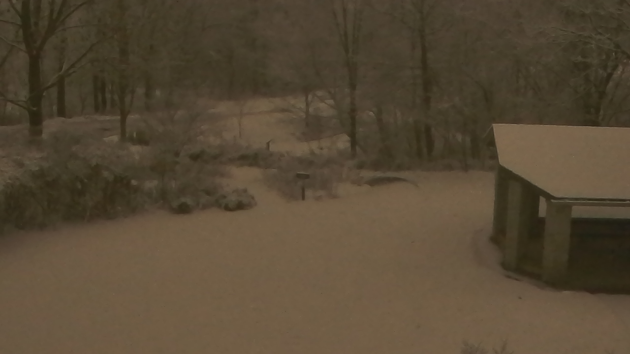 Thumbnail for current weather camera view from Wildwood Park in Harrisburg, Pennsylvania