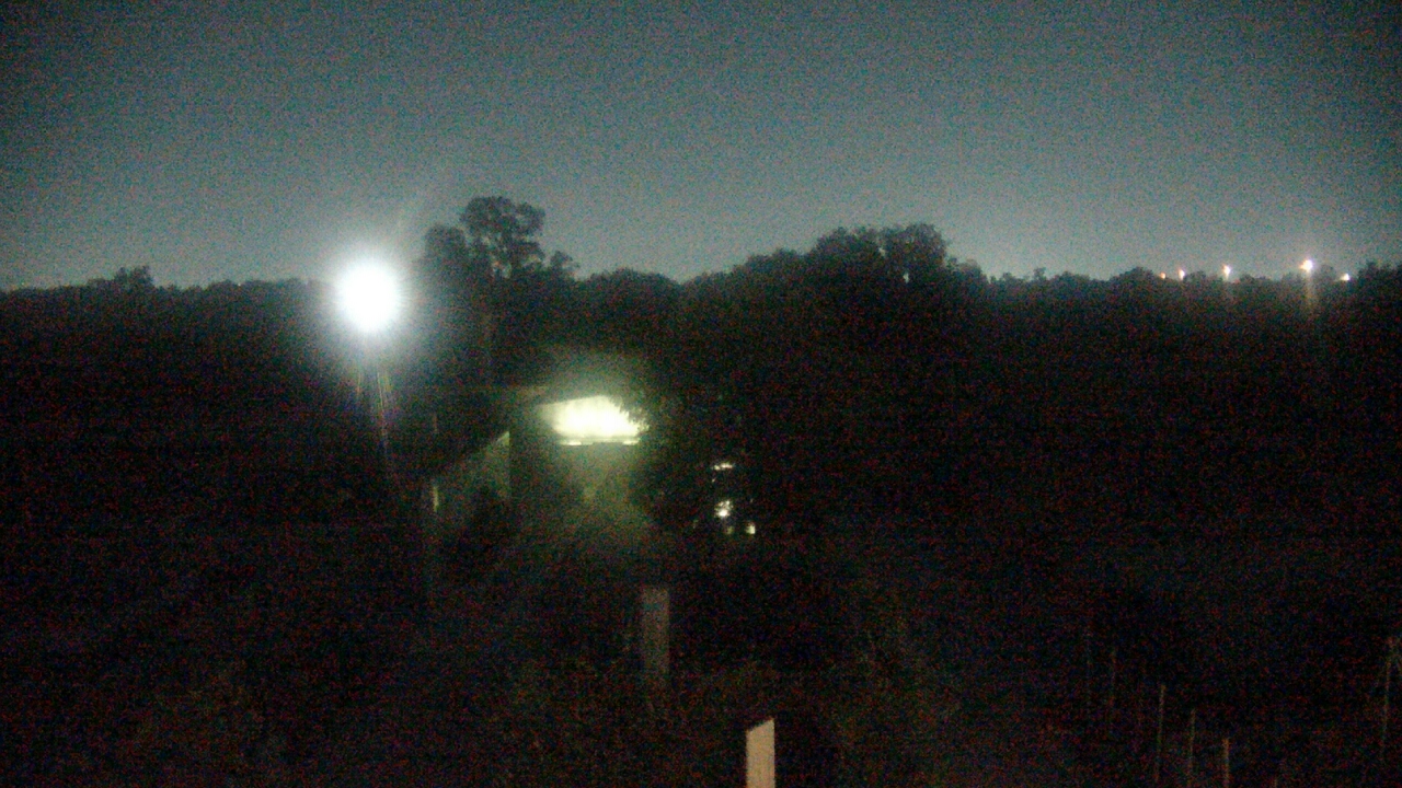 Thumbnail for current weather camera view from Houston Botanic Garden in Houston, Texas