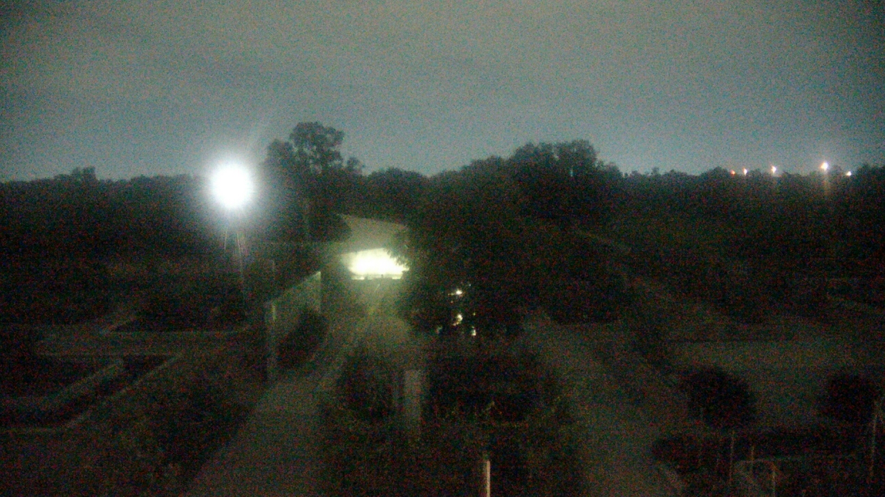 Thumbnail for current weather camera view from Houston Botanic Garden in Houston, Texas