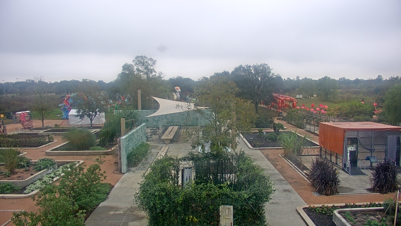 Thumbnail for current weather camera view from Houston Botanic Garden in Houston, Texas