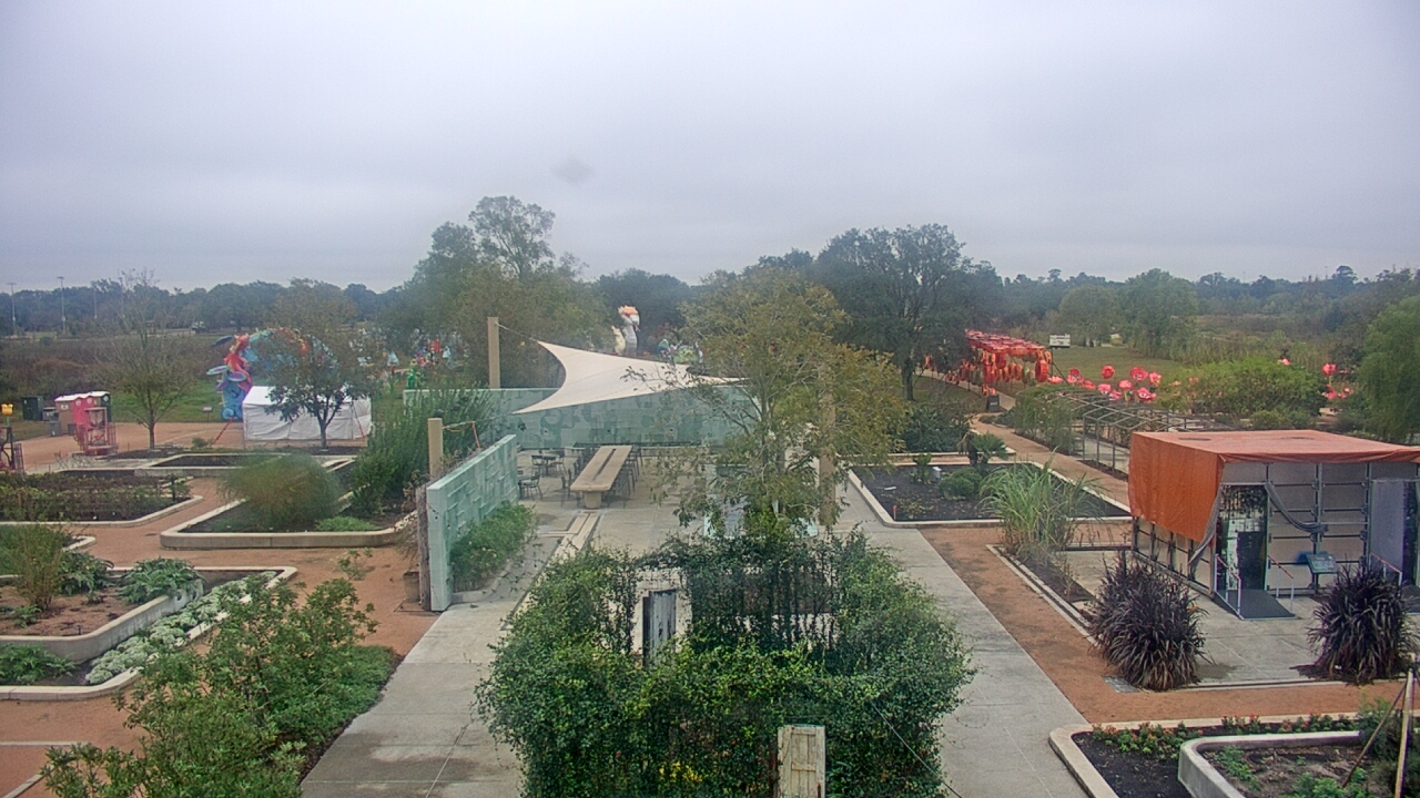 Thumbnail for current weather camera view from Houston Botanic Garden in Houston, Texas
